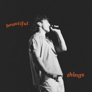 Bild für 'Beautiful Things (Alternate Versions)'