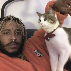Thundercat için avatar
