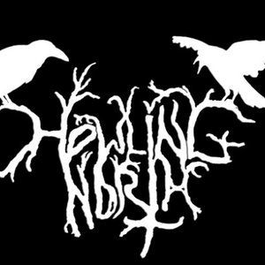 Avatar de Howling North