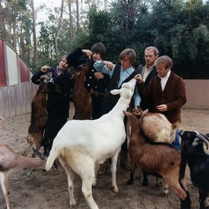 Bild für 'The Beach Boys'