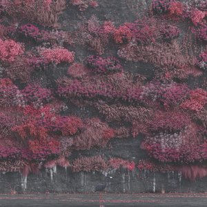 'Even In Arcadia' için resim