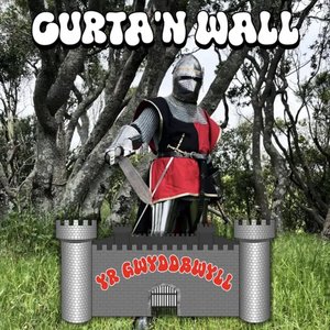 'Yr Gwyddbwll' için resim