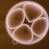 gtiddies0550 için avatar