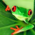 Avatar für gumgoblin